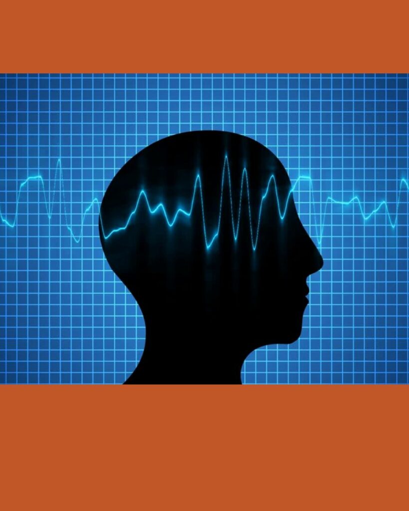 cerveau neuro architecture